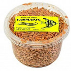 Гаммарус