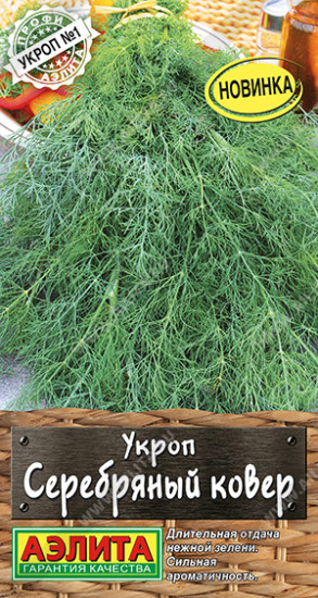 Укроп «Серебряный ковер»