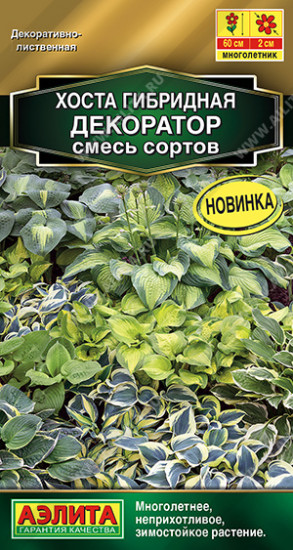Хоста «Декоратор»