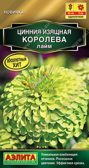 Цинния лайм «Королева»