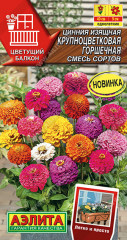 Цинния «Крупноцветковая горшечная»