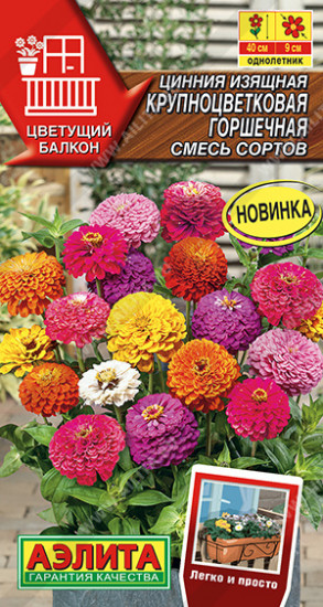 Цинния «Крупноцветковая горшечная»