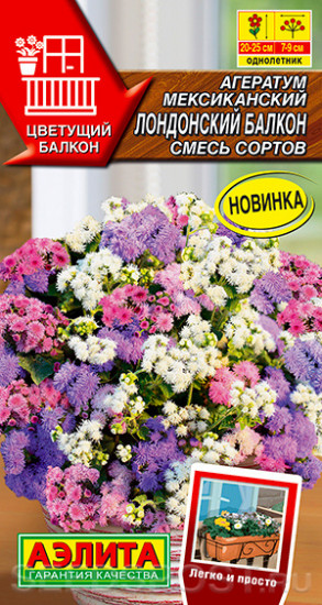 Агератум «Лондонский балкон»