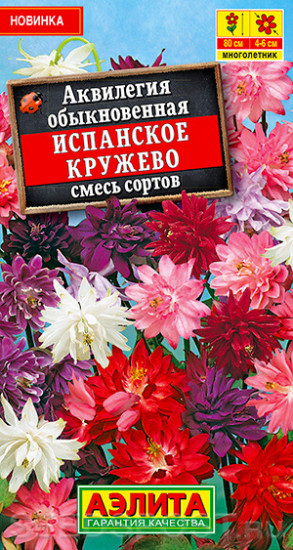 Аквилегия «Испанское кружево»
