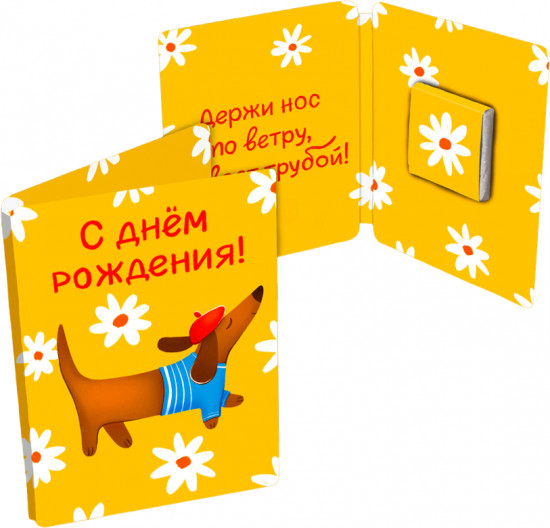 Открытка с шоколадом «Нос по ветру» — Mini открытки — ChokoCat