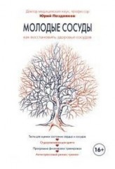 Молодые сосуды