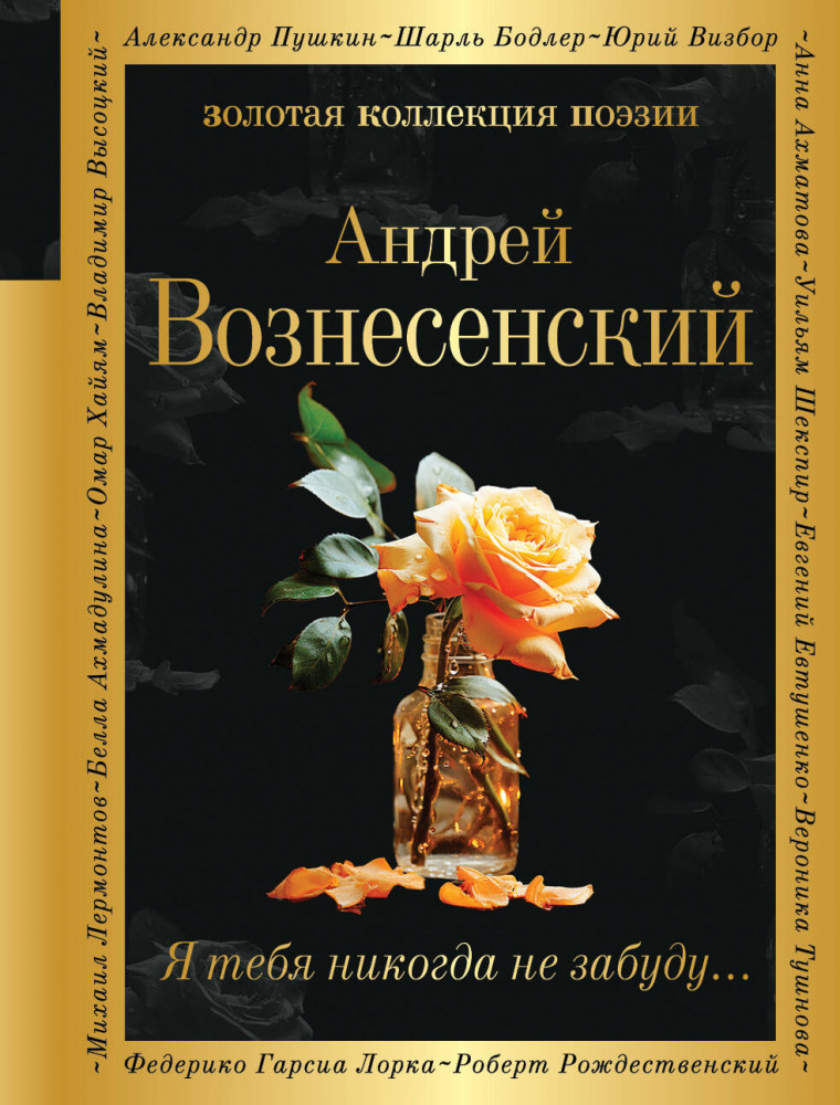 Я тебя никогда не забуду... | Золотая коллекция поэзии