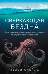 Сверкающая бездна