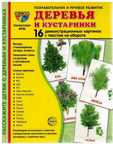 Набор демонстрационных картинок «Деревья и кустарники»