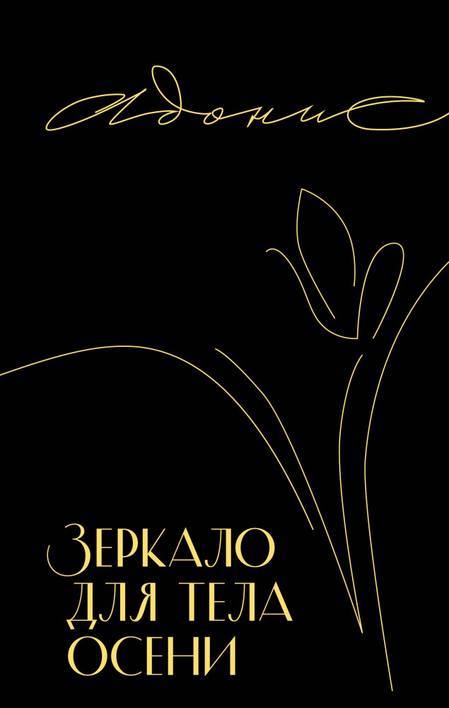 Зеркало для тела осени | Inspiria Air
