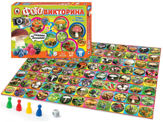 Игра настольная «Грибы и ягоды»
