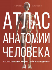 Атлас анатомии человека