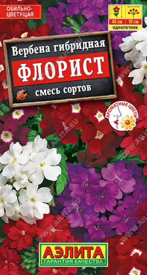 Вербена смесь сортов «Флорист»