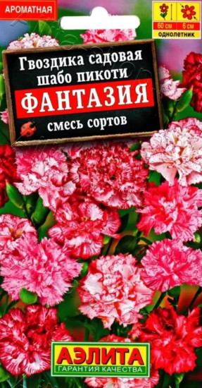 Гвоздика садовая смесь сортов «Шабо Пикоти Фантазия»