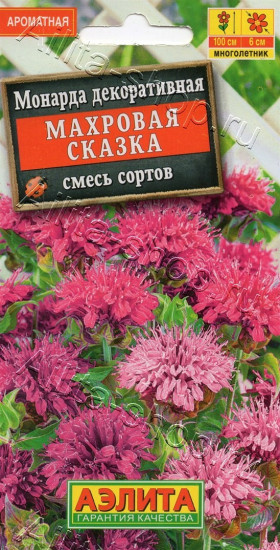 Монарда декоративная смесь сортов «Махровая сказка»