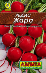 Редис «Жара»
