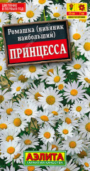 Ромашка садовая «Принцесса»