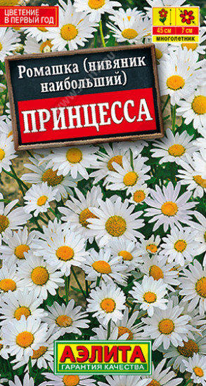 Ромашка садовая «Принцесса»