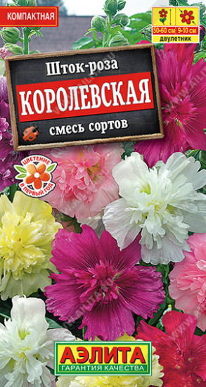 Шток-роза смесь сортов «Королевская»