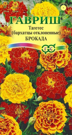Бархатцы отклоненные «Брокада»