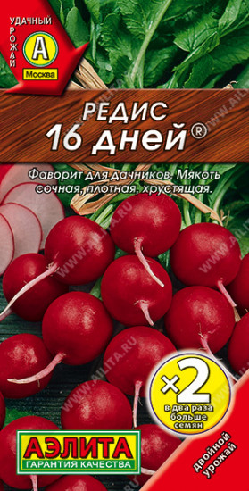 Редис «16 дней»