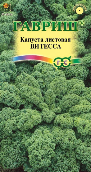 Капуста листовая «Витесса»