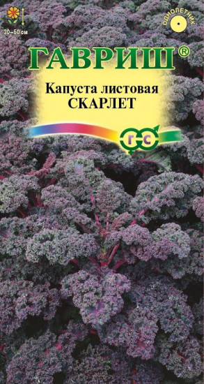 Капуста листовая «Скарлет»