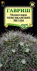 Кактус «Маммиллярия Мексиканские звёзды»