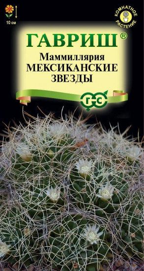 Кактус «Маммиллярия Мексиканские звёзды»