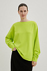 555 wild lime