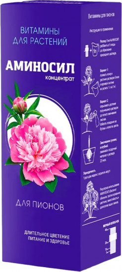 Концентрат для пионов
