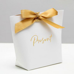 Пакет подарочный «Present»