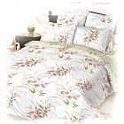 Комплект постельного белья «Малоу» (1,5-спальный, ранфорс, 2 наволочки 50х70)