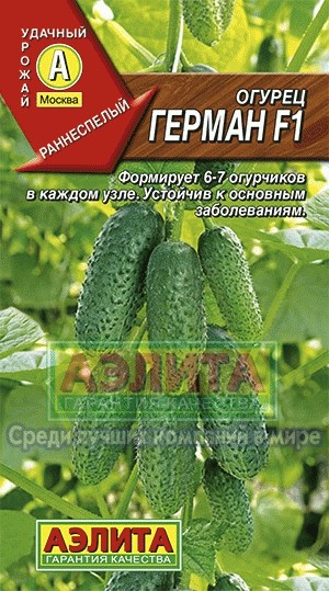 Семена. Огурец «Герман F1», 10 шт