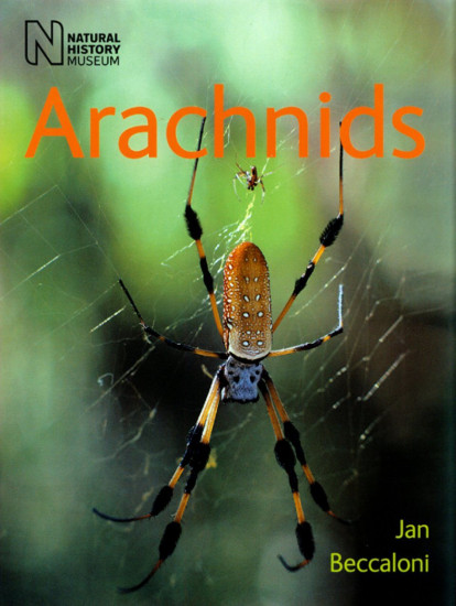 Arachnids