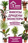 Фикусы, драцены, монстеры и другие декоративно-лиственные комнатные растения
