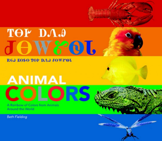 Animal Colors
