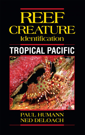 Tropical Pacific