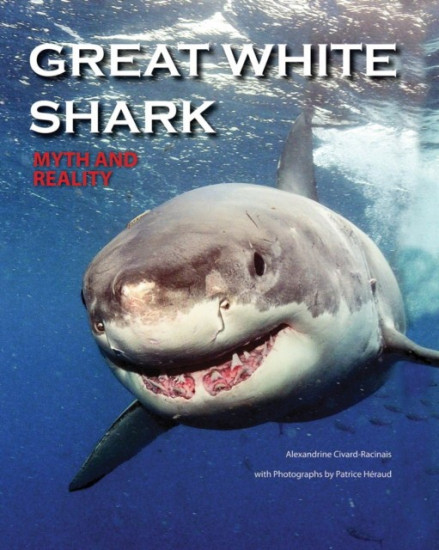 Great White Shark. Myth and Reality