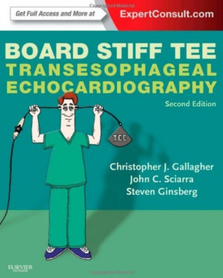 Board Stiff TEE. Transesophageal Echocardiography
