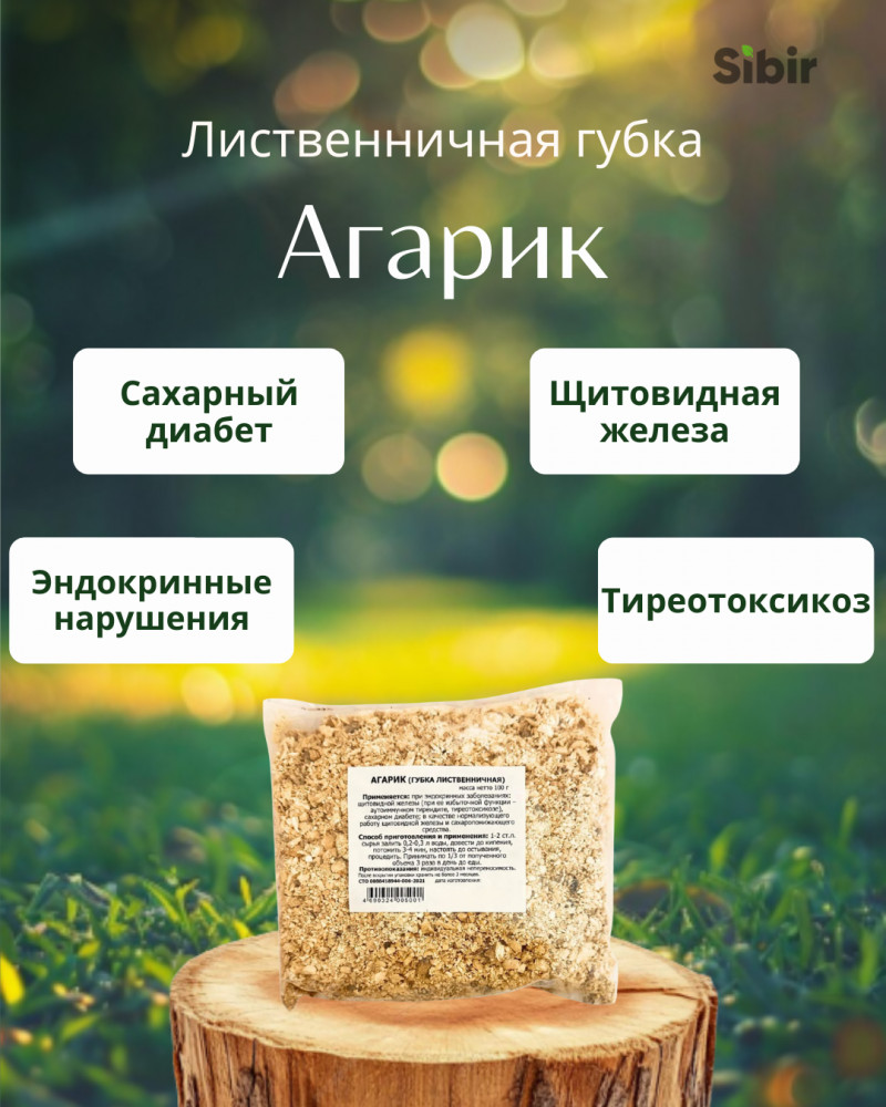 Агарик. Лиственничная губка | Травник Гордеев