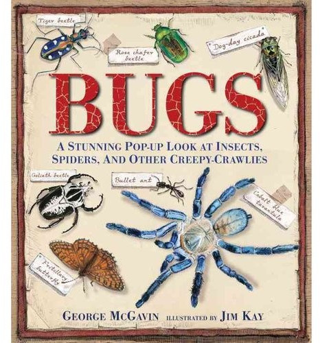Bugs. A Stunning Pop-up Look at Insects, Spiders