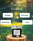 Бадан листья