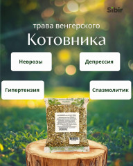 Котовника венгерского трава