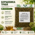 Борщевика трава