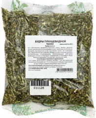 Будры плющевидной трава