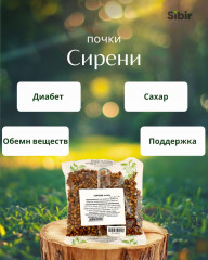 Сирени почки
