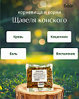 Щавеля конского корневища и корни