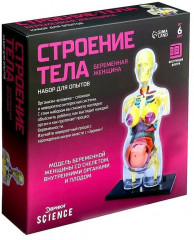 Набор для опытов «Строение тела беременной женщины»