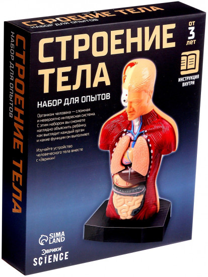Набор для опытов «Строение тела»